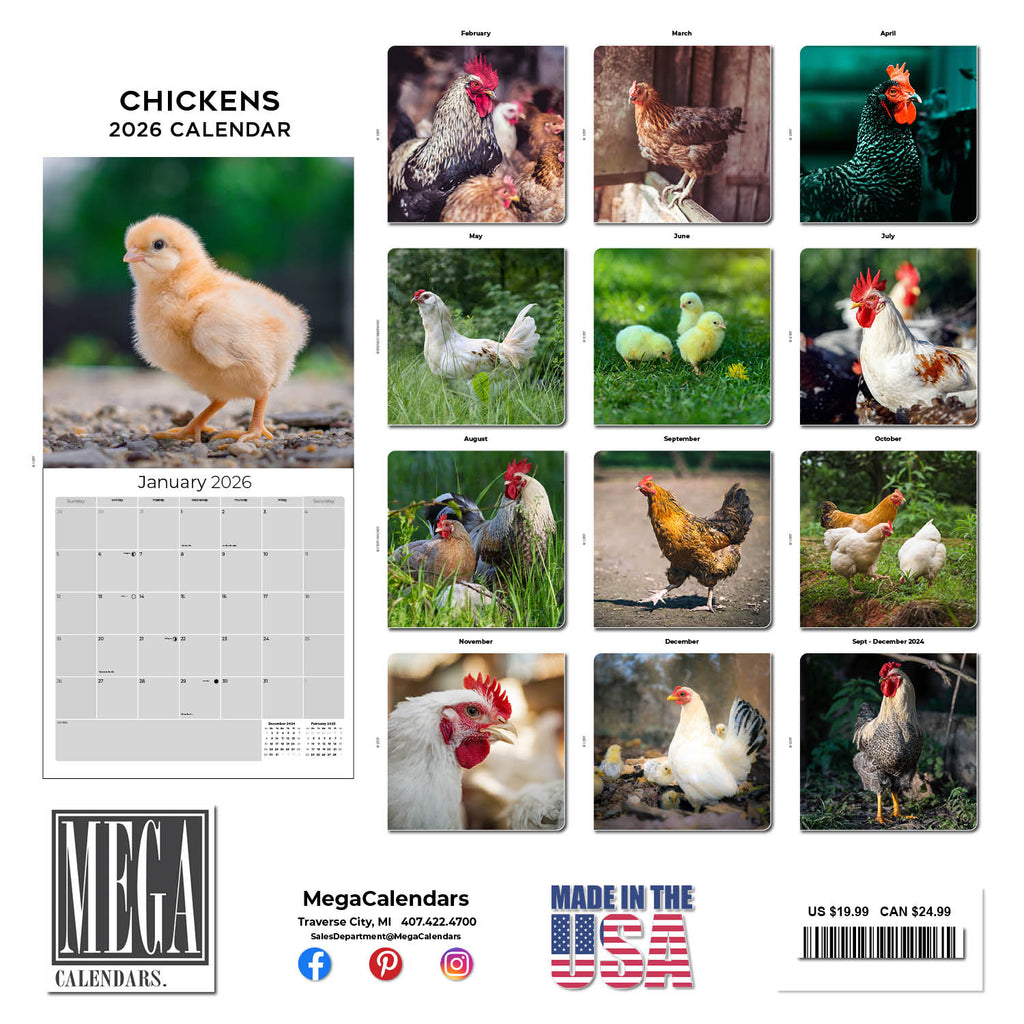 Chickens Wall Calendar 2026