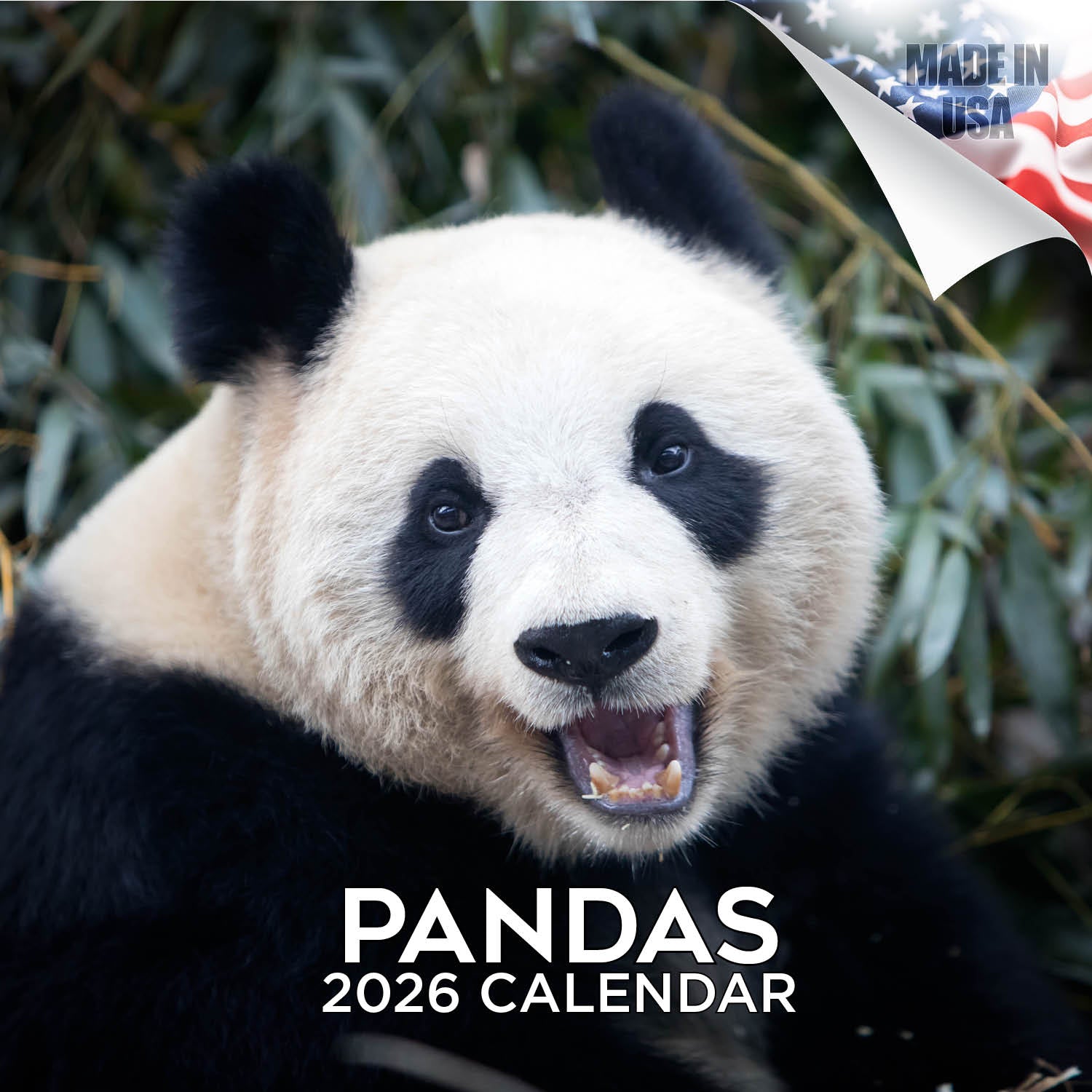 Pandas Wall Calendar 2026