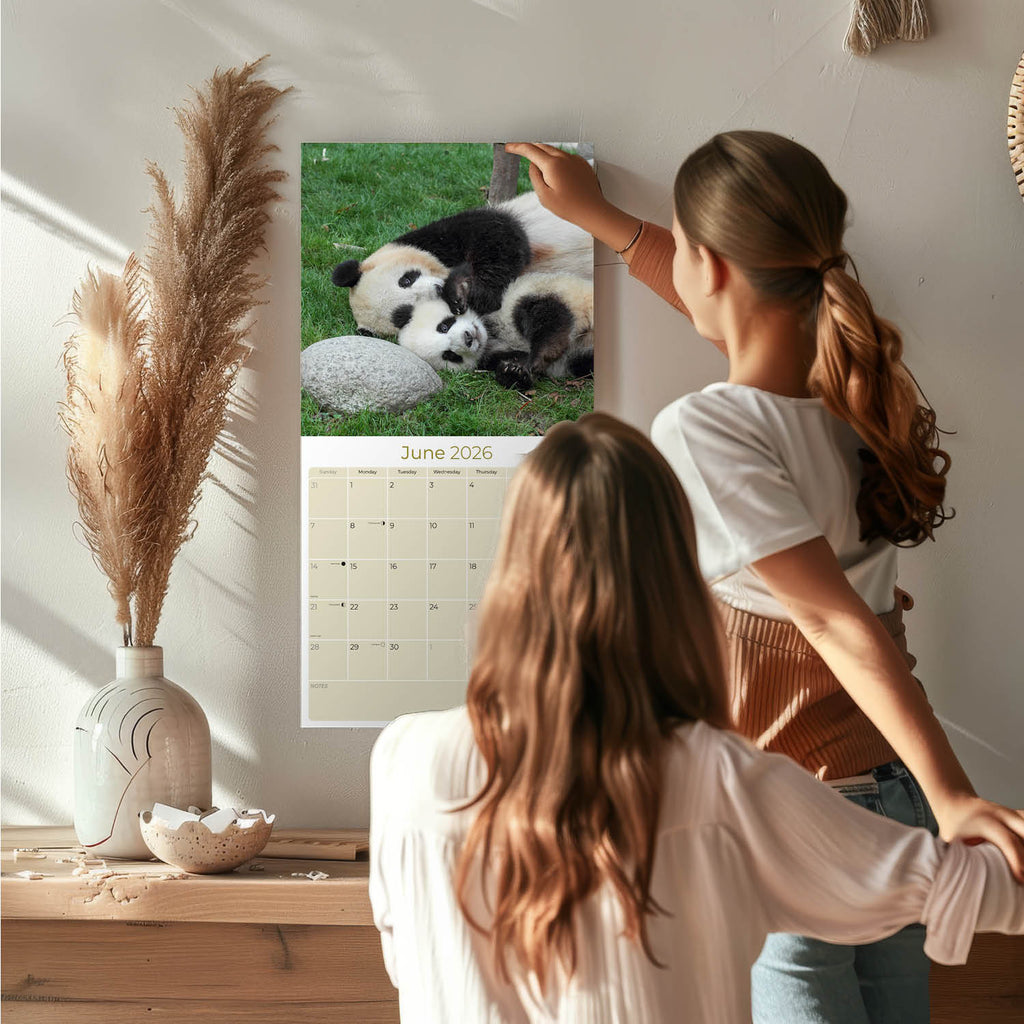 Pandas Wall Calendar 2026