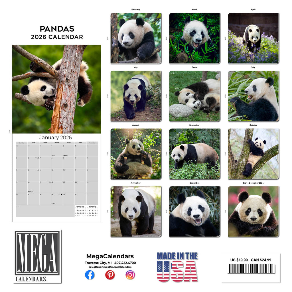 Pandas Wall Calendar 2026