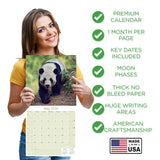 Pandas Wall Calendar 2026