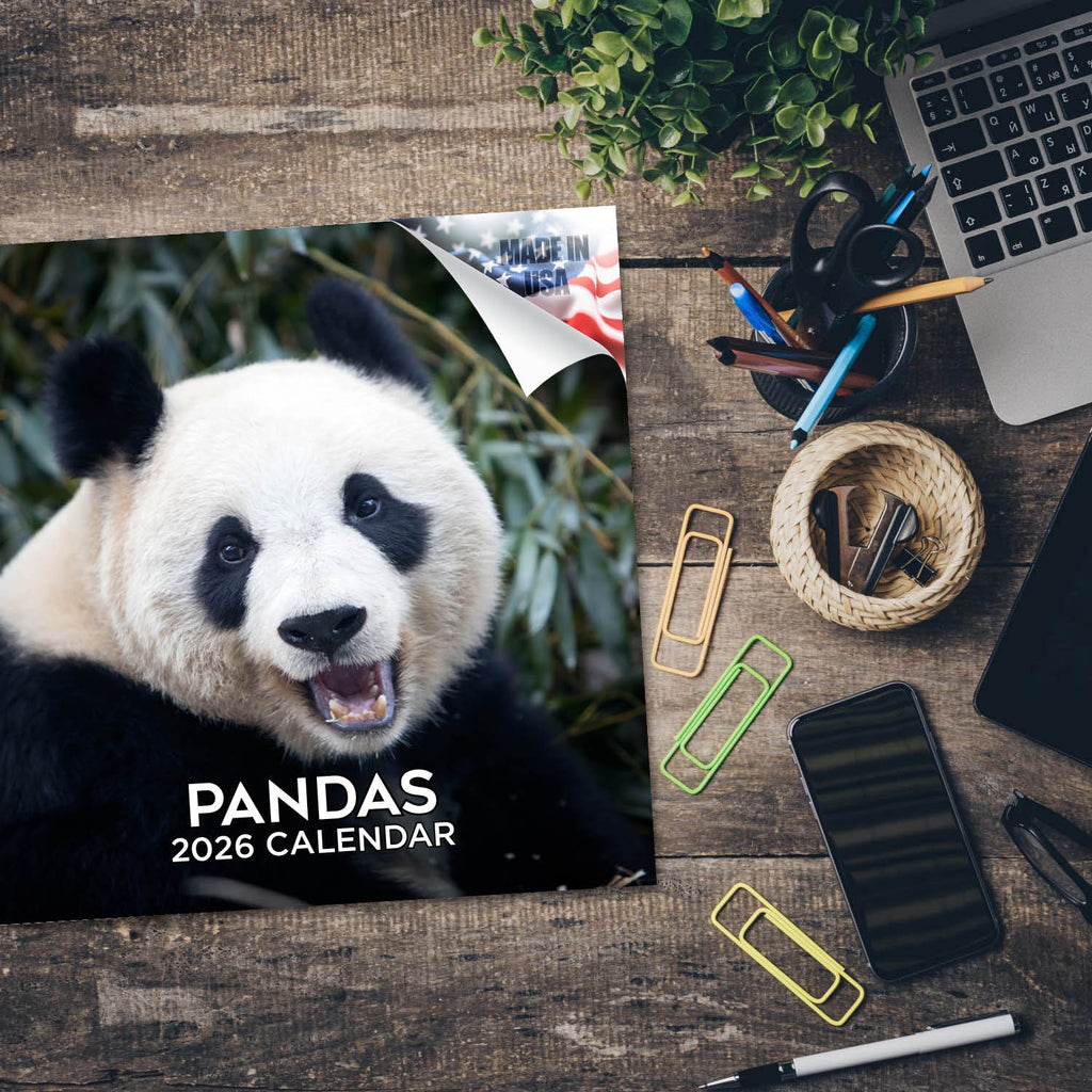 Pandas Wall Calendar 2026