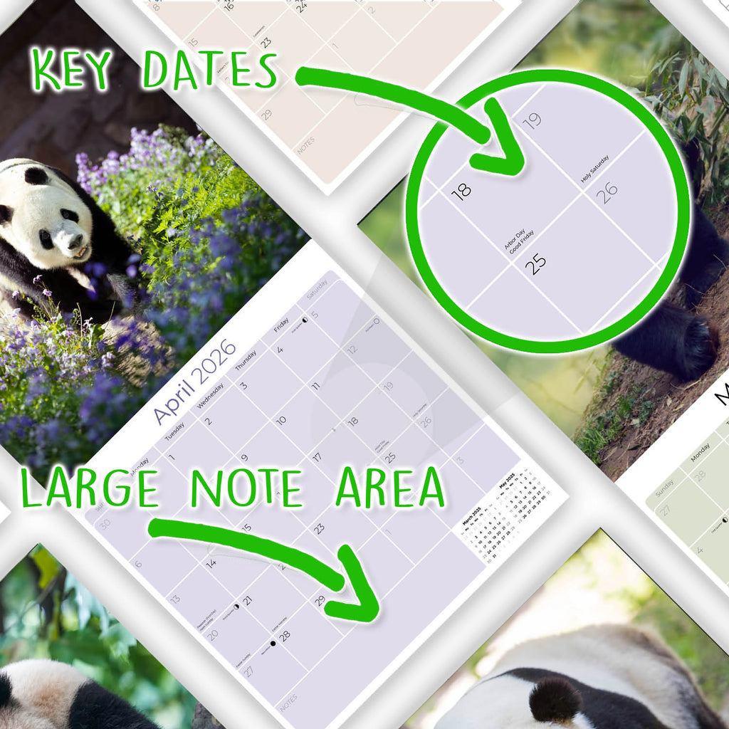 Pandas Wall Calendar 2026