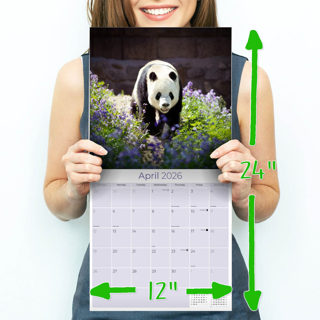 Pandas Wall Calendar 2026