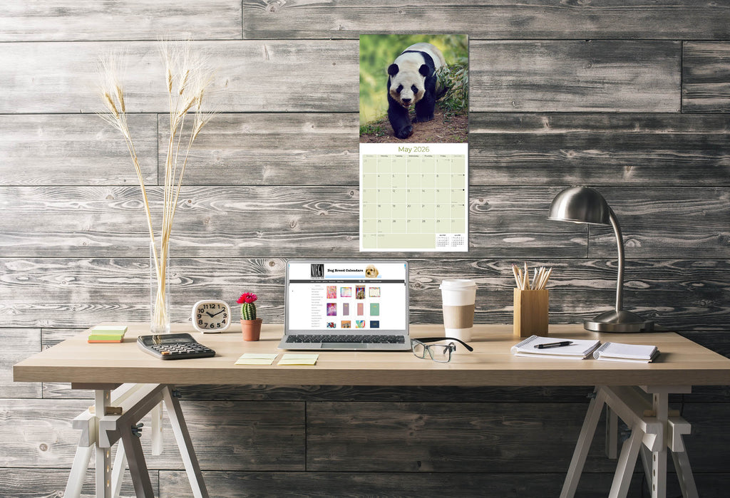 Pandas Wall Calendar 2026
