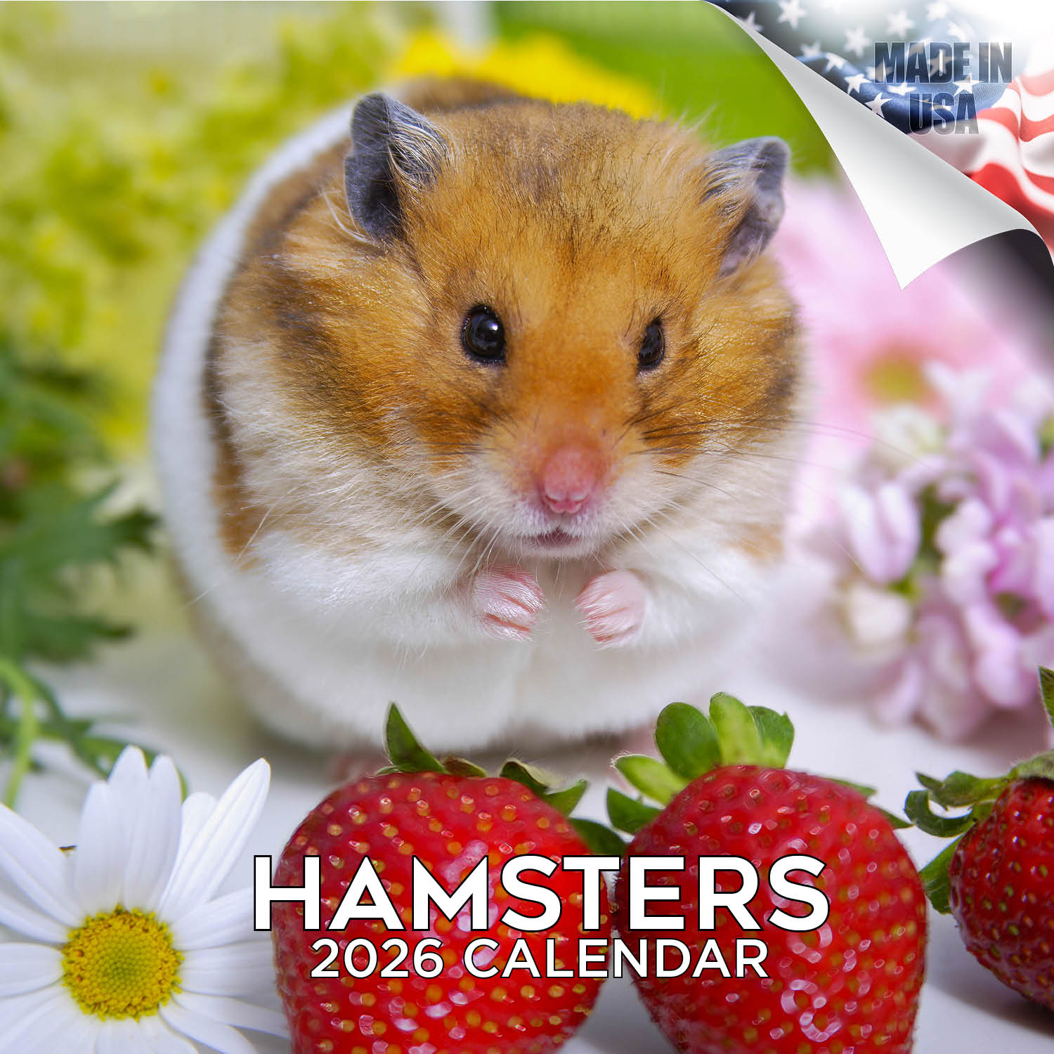 Hamsters Calendar 2026