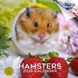 Hamsters Calendar 2026