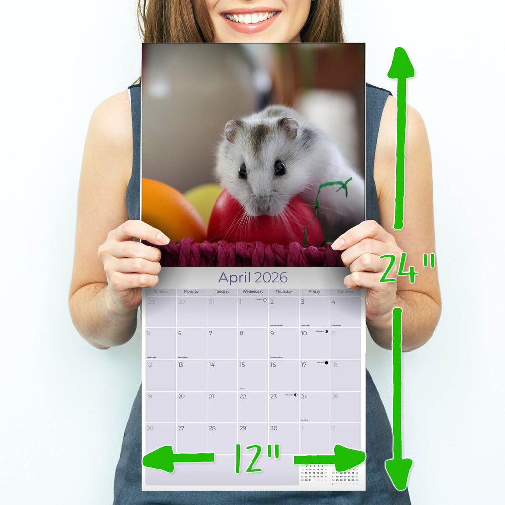 Hamsters Calendar 2026