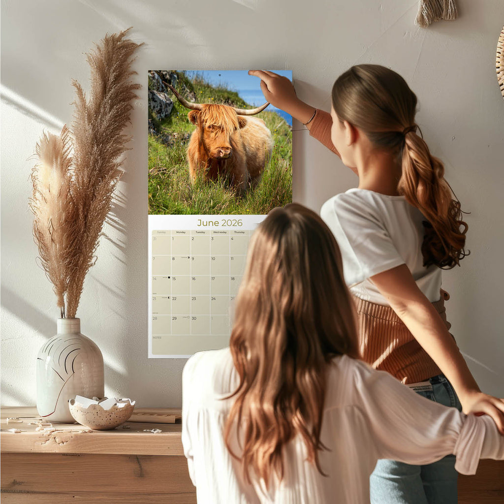 Highland Cows Calendar 2026