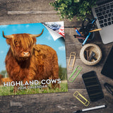 Highland Cows Calendar 2026