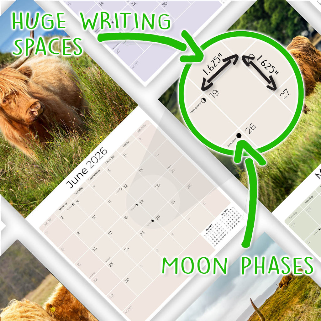 Highland Cows Calendar 2026