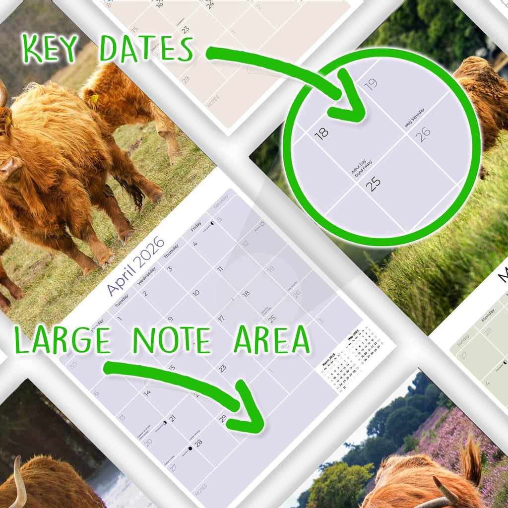 Highland Cows Calendar 2026