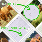 Highland Cows Calendar 2026