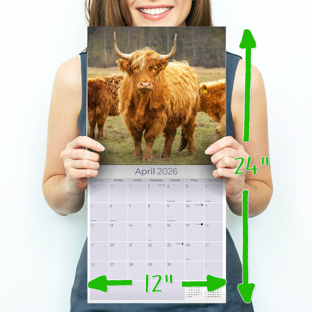 Highland Cows Calendar 2026