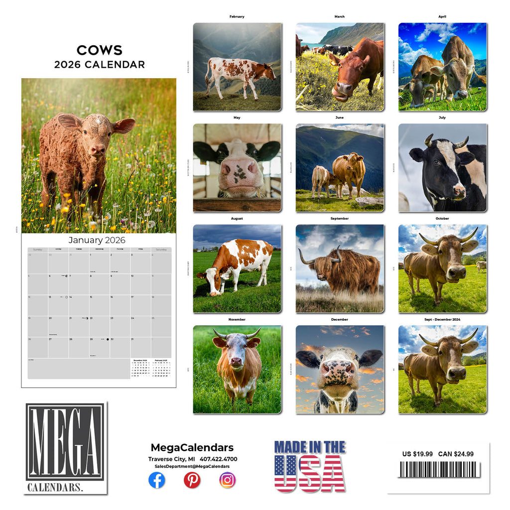 Cows Wall Calendar 2026