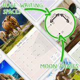 Cows Wall Calendar 2026