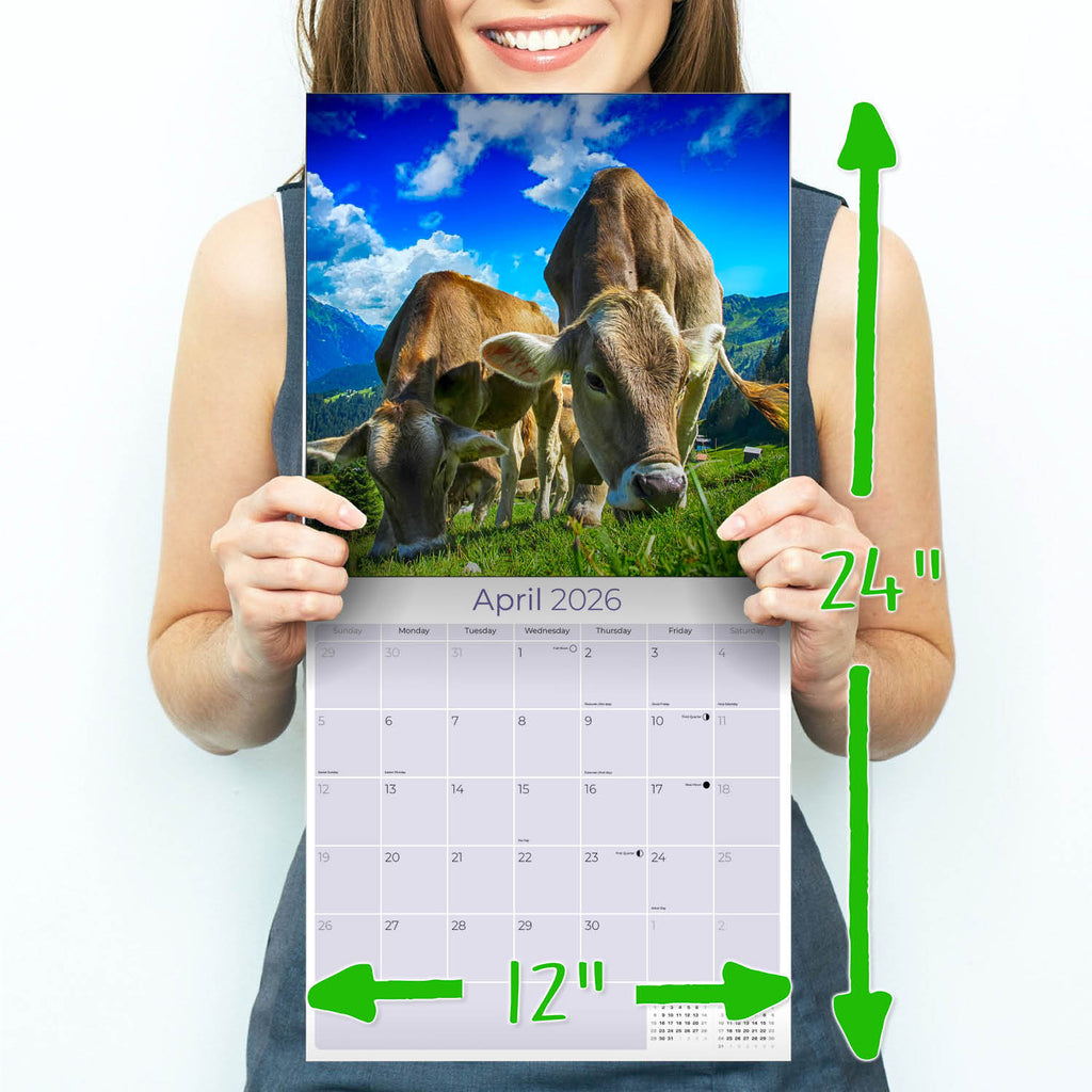 Cows Wall Calendar 2026