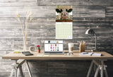 Cows Wall Calendar 2026