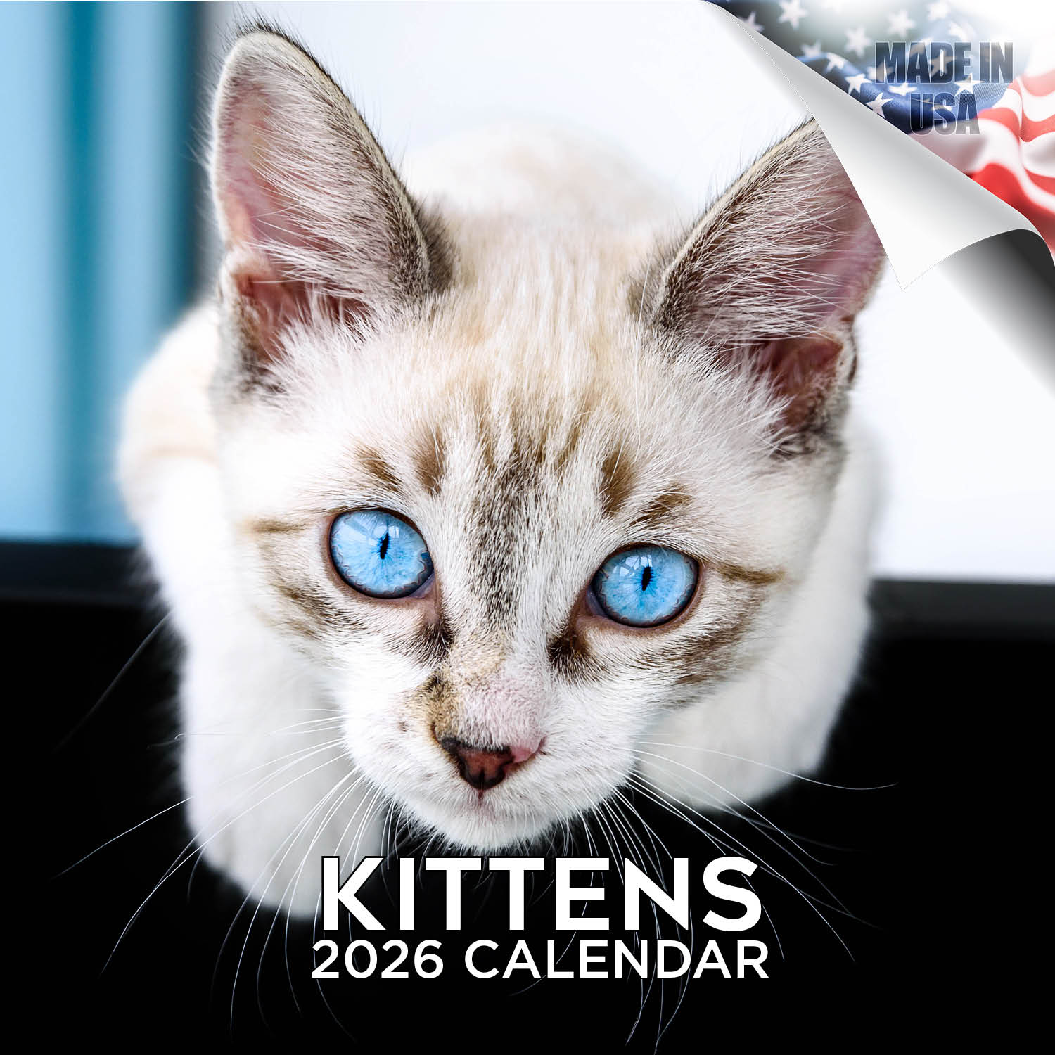 Kittens Wall Calendar 2026