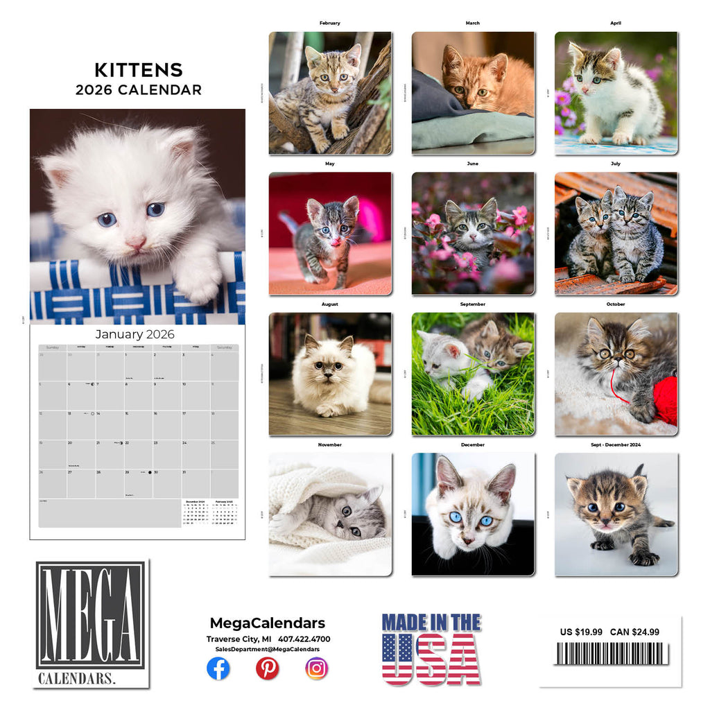 Kittens Wall Calendar 2026