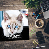 Kittens Wall Calendar 2026