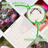 Kittens Wall Calendar 2026