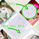 Kittens Wall Calendar 2026