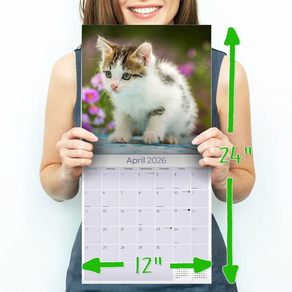 Kittens Wall Calendar 2026