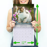 Kittens Wall Calendar 2026