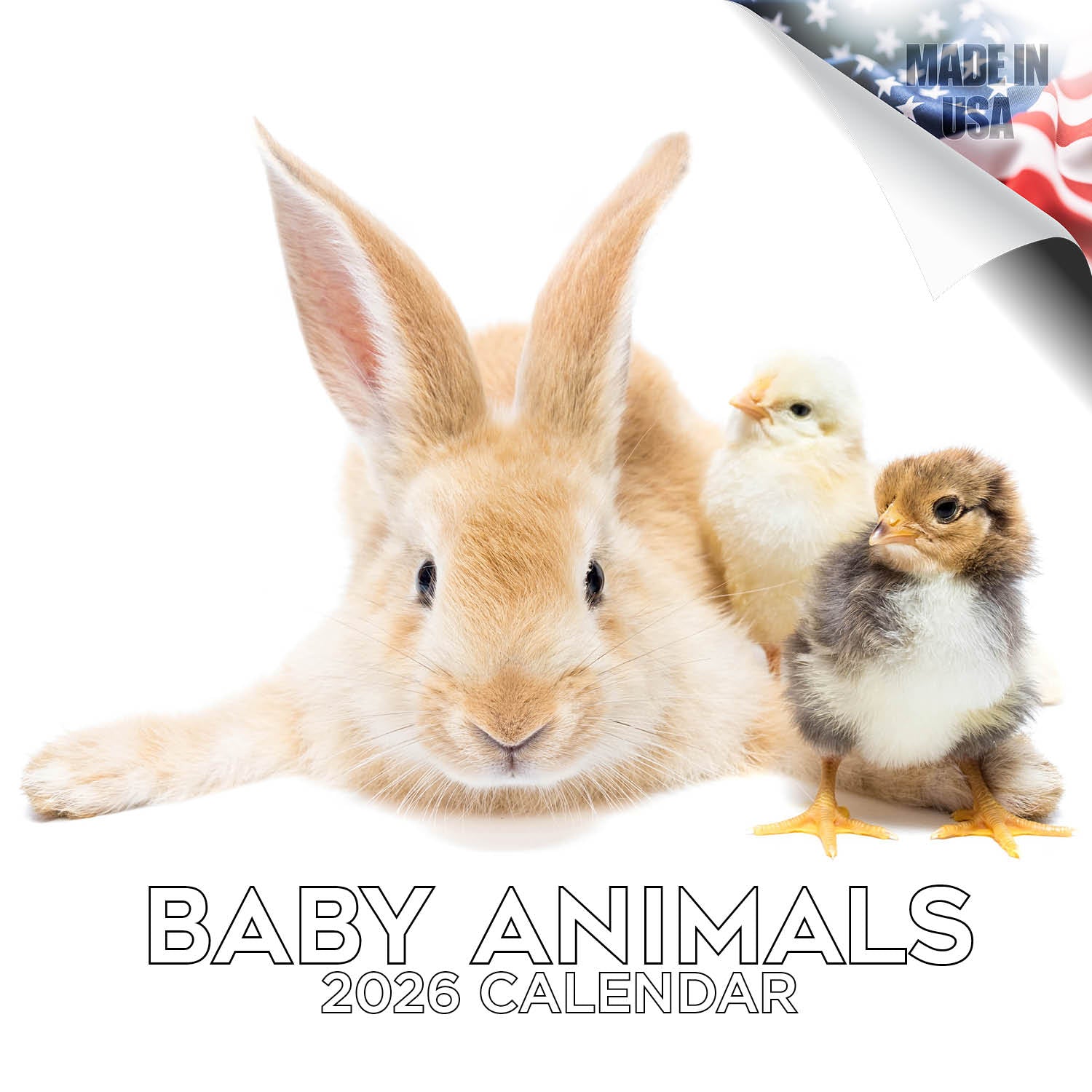 Baby Animals Wall Calendar 2026