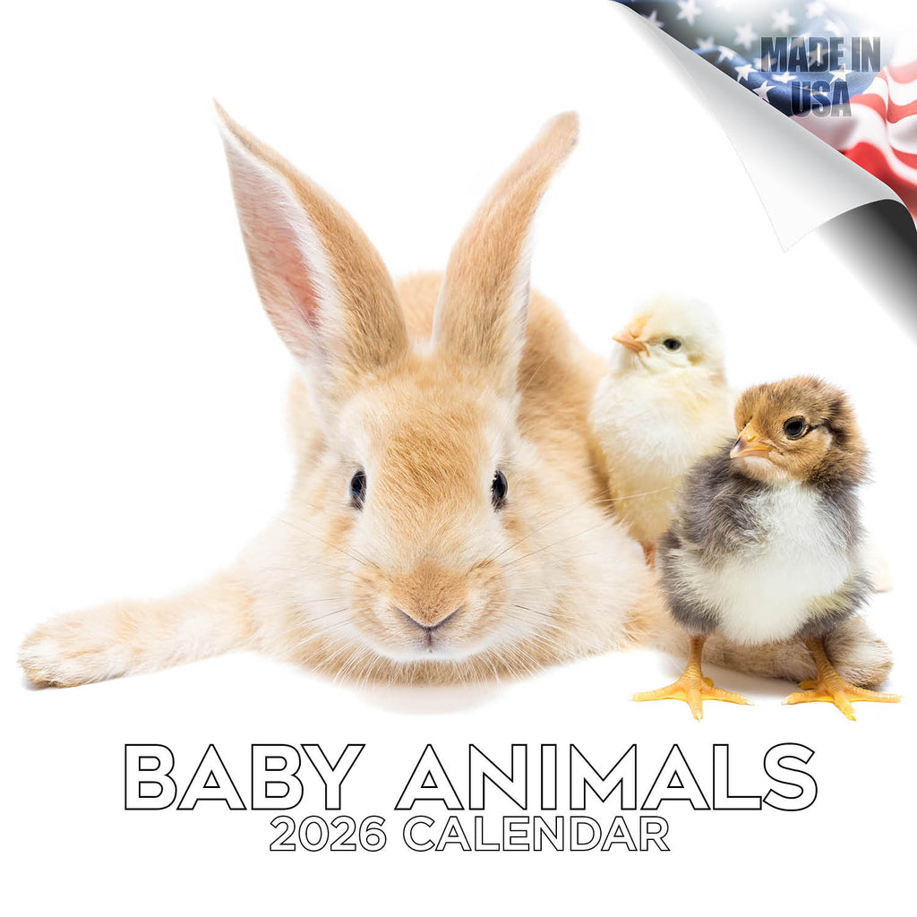 Baby Animals Wall Calendar 2026