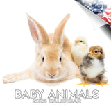 Baby Animals Wall Calendar 2026