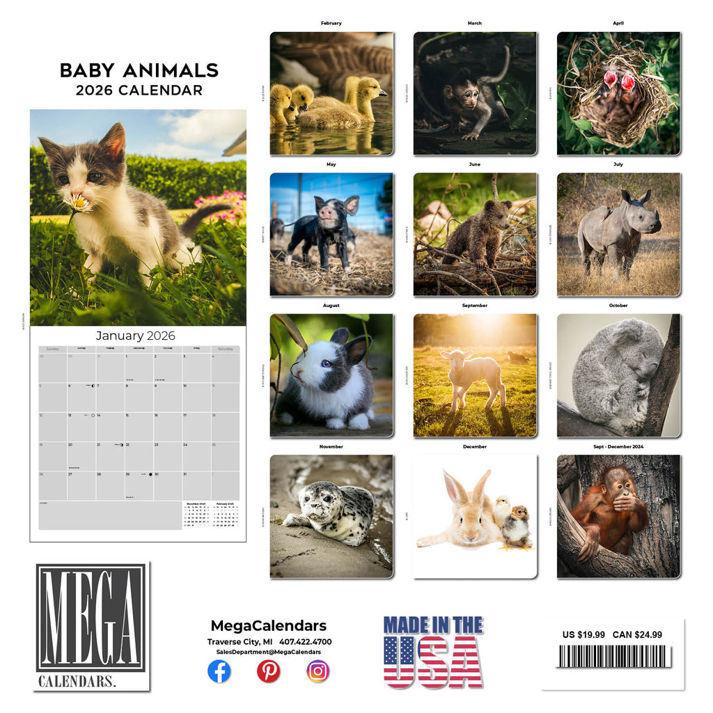 Baby Animals Wall Calendar 2026