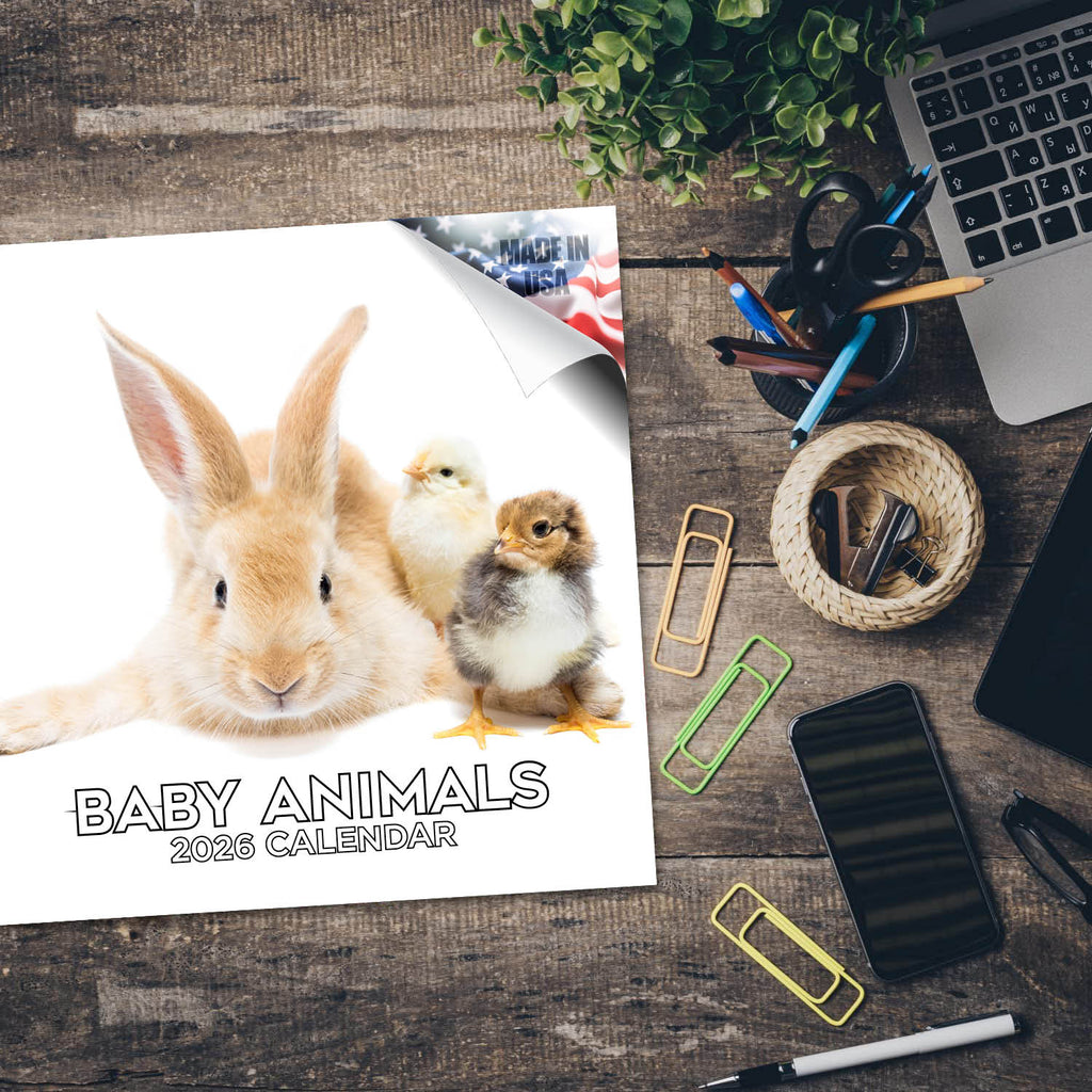 Baby Animals Wall Calendar 2026