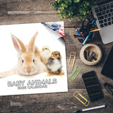 Baby Animals Wall Calendar 2026