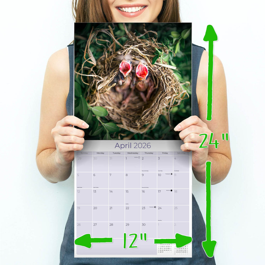 Baby Animals Wall Calendar 2026
