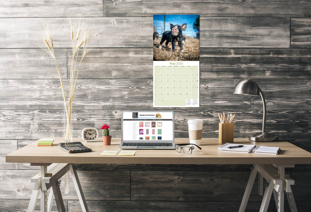 Baby Animals Wall Calendar 2026