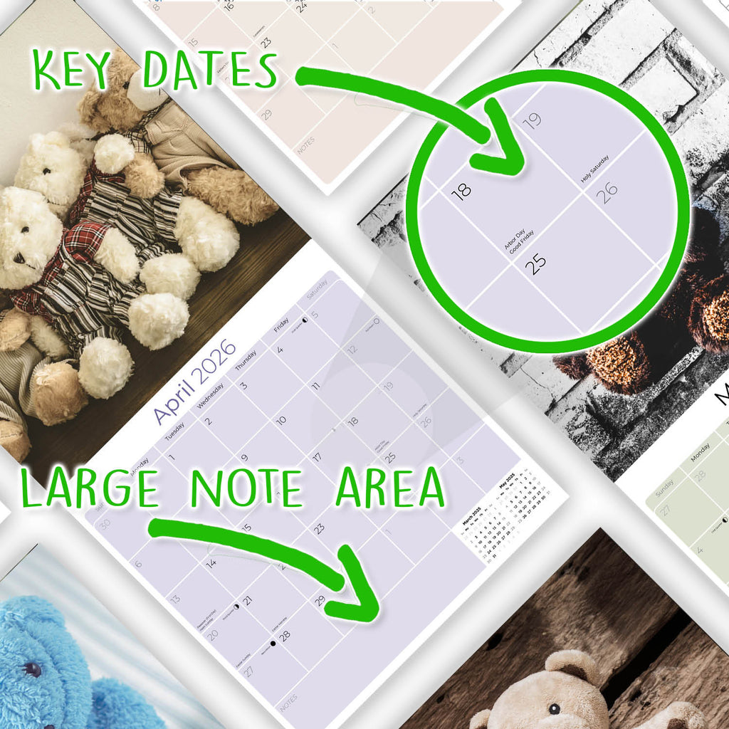 Teddy Bears Wall Calendar 2026