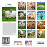 Pigs Wall Calendar 2026