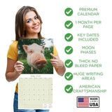Pigs Wall Calendar 2026