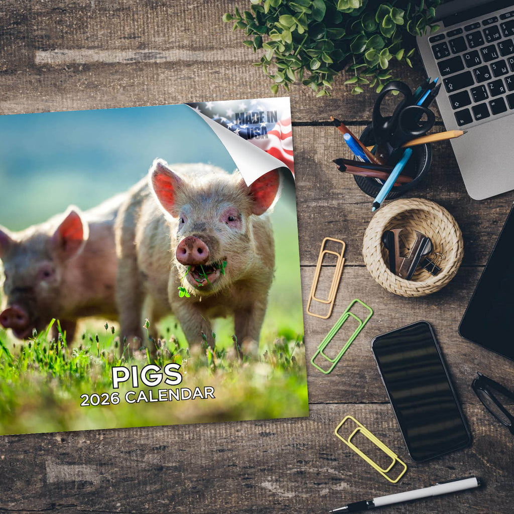 Pigs Wall Calendar 2026