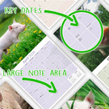 Pigs Wall Calendar 2026