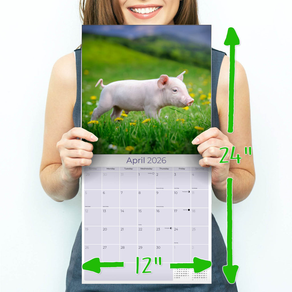 Pigs Wall Calendar 2026