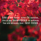 Meditation Wall Calendar 2026