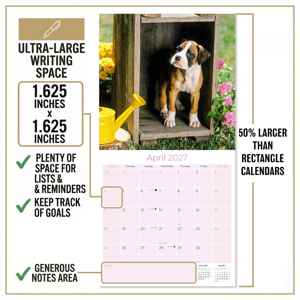 Boxer Puppies Wall Calendar 2027 - 12" x 12" Monthly Adorable Mischievous Boxer Puppy Calendar