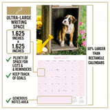 Boxer Puppies Wall Calendar 2027 - 12" x 12" Monthly Adorable Mischievous Boxer Puppy Calendar