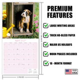 Boxer Puppies Wall Calendar 2027 - 12" x 12" Monthly Adorable Mischievous Boxer Puppy Calendar