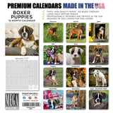 Boxer Puppies Wall Calendar 2027 - 12" x 12" Monthly Adorable Mischievous Boxer Puppy Calendar