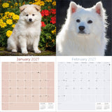 American Eskimo Dog Wall Calendar 2027 - 12" x 12" Monthly Spitz Breed & White Eskie Dog Calendar