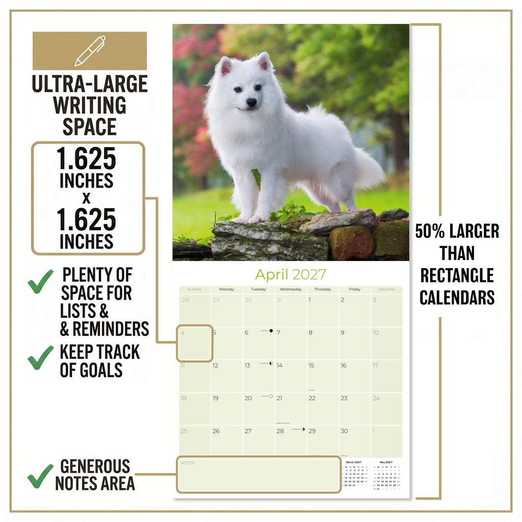 American Eskimo Dog Wall Calendar 2027 - 12" x 12" Monthly Spitz Breed & White Eskie Dog Calendar